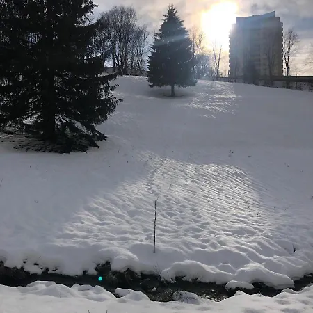 Apartment Pano Hohegeiß App 363 Mit Wlan *